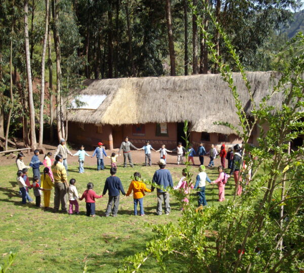 2006