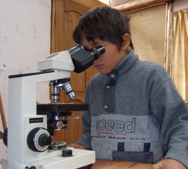 observando-la-cc3a9lula